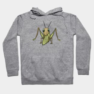 Cute Cricket Drawing Hoodie